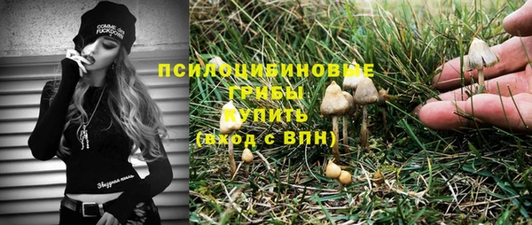 синтетический гашиш Богородск