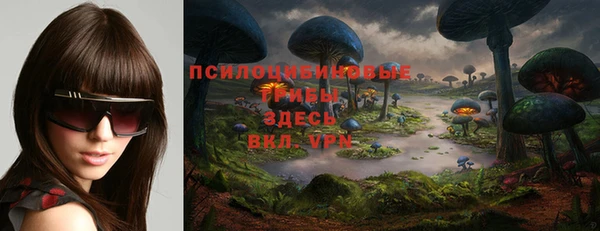 гашик Бугульма